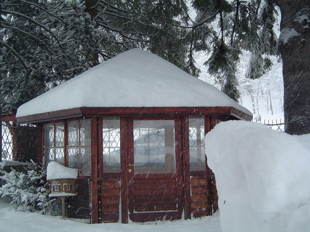 Residence Blumental Gressoney-Saint-Jean Esterno foto